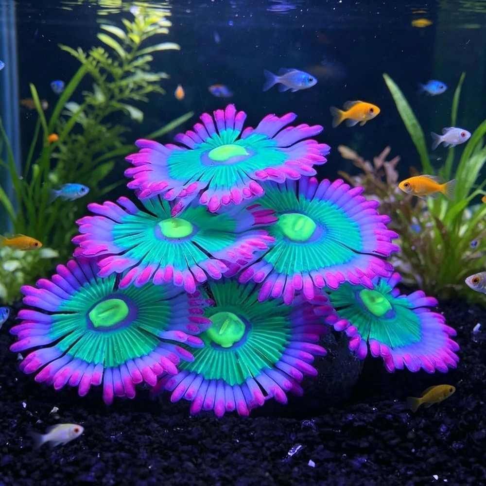 Marine Aquarium For Sale - ของตกแต่งตู้ปลาเรืองแสง ซิลิโคนเรืองแสง ต้นไม้ประดิษฐ์สำหรับตกแต่งตู้ปลา อุปกรณ์ตกแต่งตู้ปลา