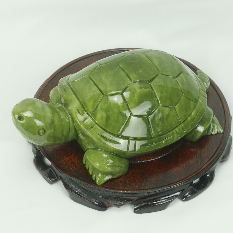 หยกธรรมชาติ/เต่าประติมากรรม/ตก - Marine Aquarium For Sale บทวิจารณ์และราคา