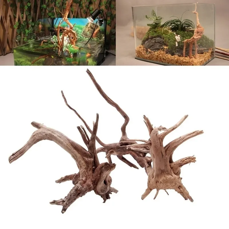 ต้นไม้ธรรมชาติลำต้นไม้ดริฟท์วู - Marine Aquarium For Sale บทวิจารณ์และราคา