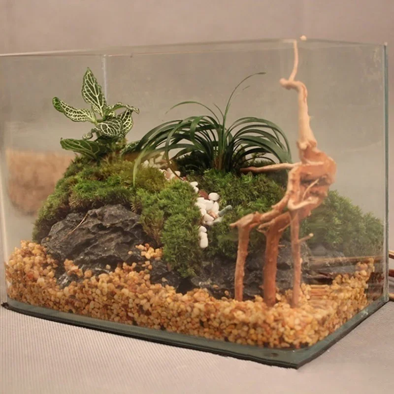 ต้นไม้ธรรมชาติลำต้นไม้ดริฟท์วู - Marine Aquarium For Sale บทวิจารณ์และราคา