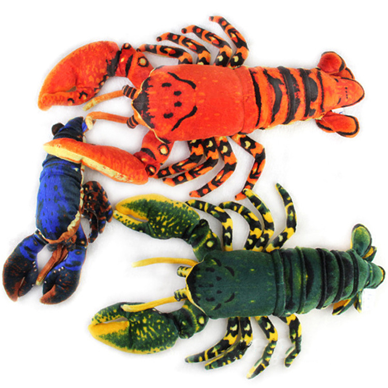 จําลองสัตว์กุ้งก้ามกราม Palinu - Aquarium Marine Park บทวิจารณ์และราคา