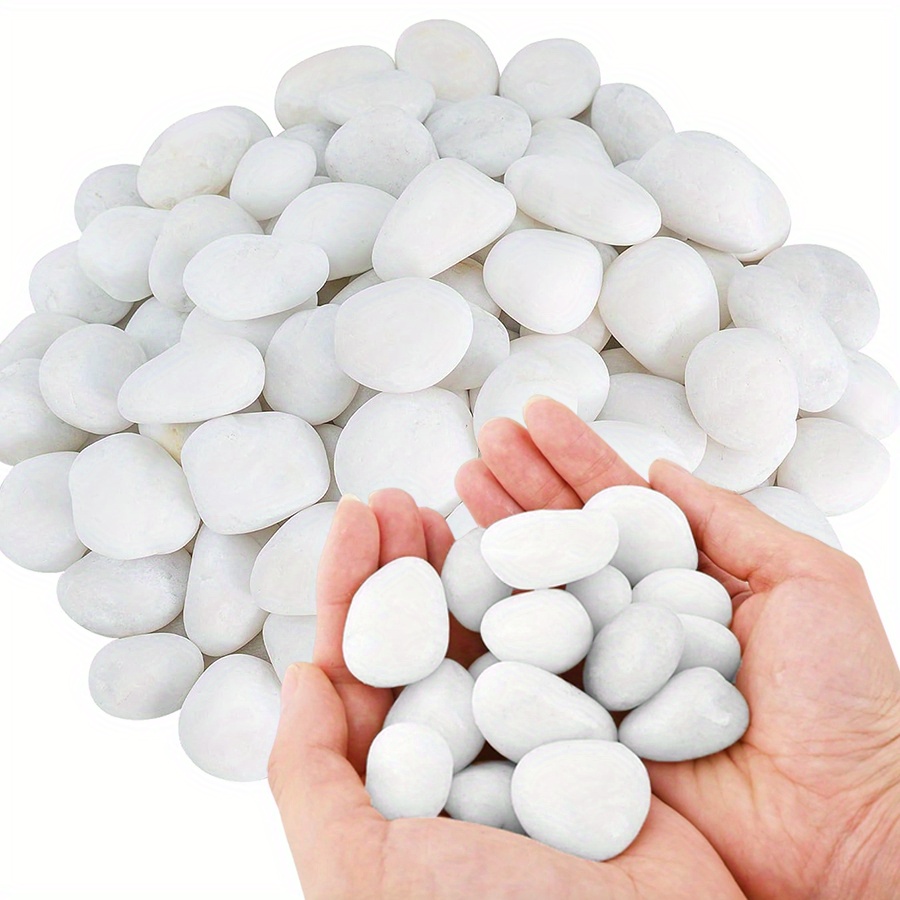 หินกรวดขัดเงาสีขาวธรรมชาติ ขนา - Aquarium Marine Fish บทวิจารณ์และราคา