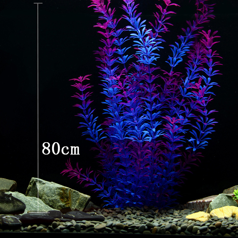 ต้นไม้เขตร้อนขนาด 100 ซม. หญ้า - Aquarium Marine Fish บทวิจารณ์และราคา