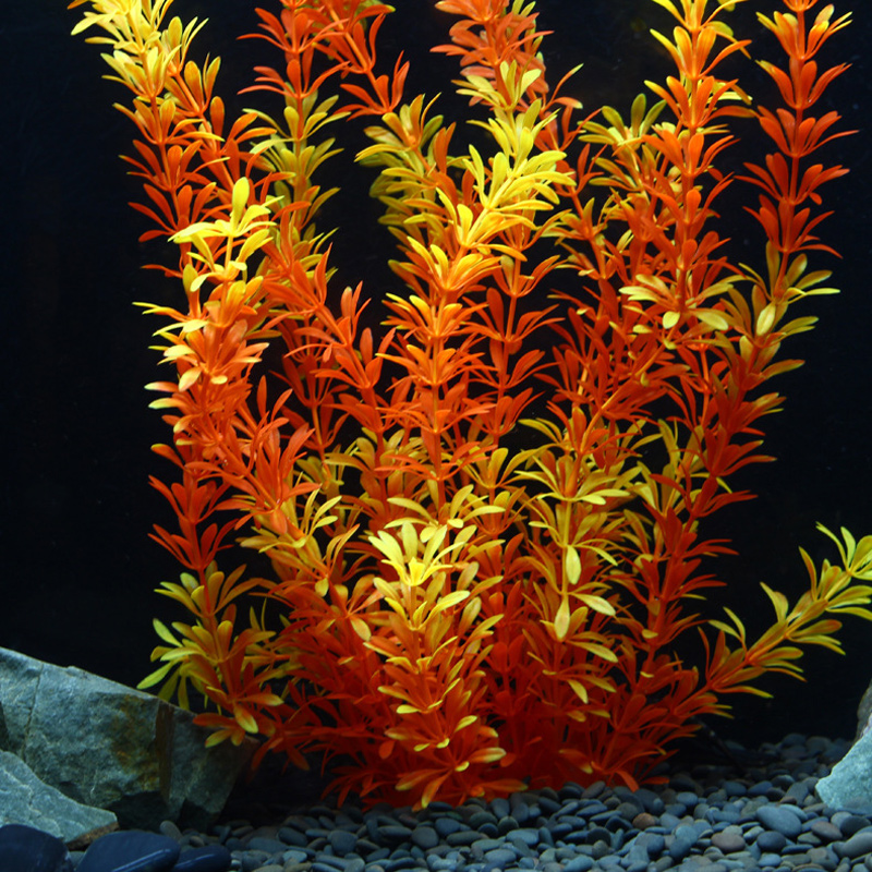 ต้นไม้เขตร้อนขนาด 100 ซม. หญ้า - Aquarium Marine Fish บทวิจารณ์และราคา