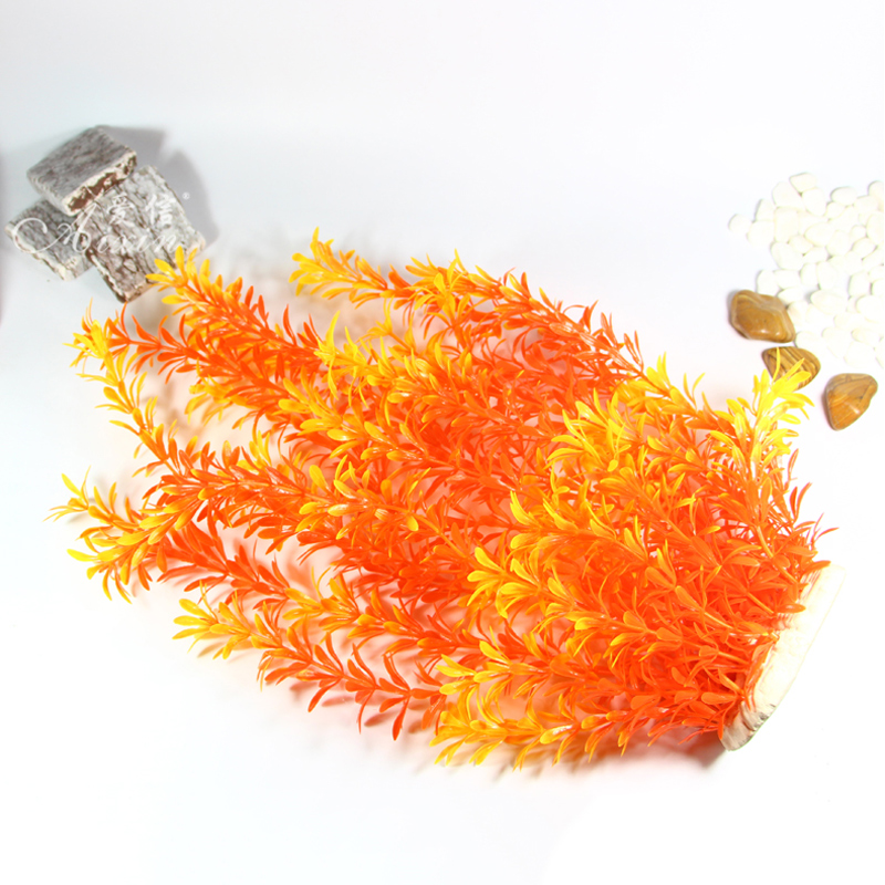 ต้นไม้เขตร้อนขนาด 100 ซม. หญ้า - Aquarium Marine Fish บทวิจารณ์และราคา