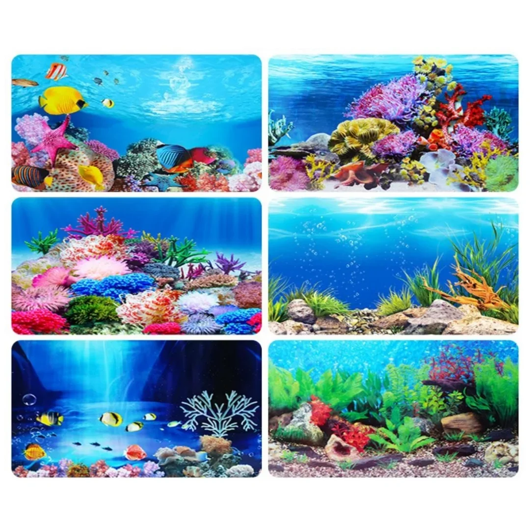 พื้นหลัง Aquarium 3D สติกเกอร์ - Marine Aquarium For Sale บทวิจารณ์และราคา
