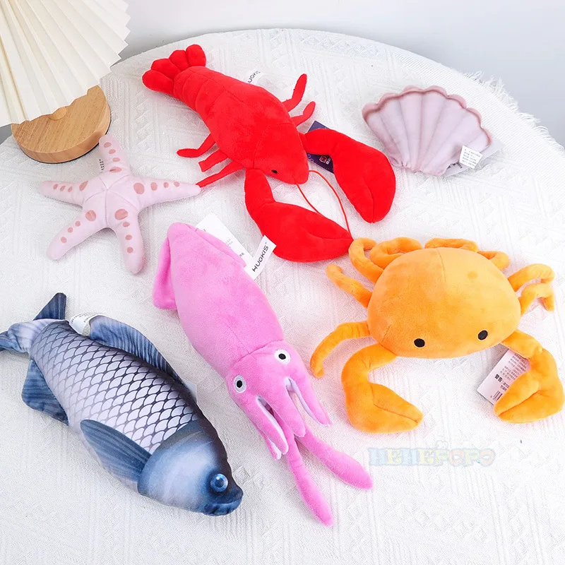 กุ้งก้ามกรามปลาหมึกปูปลาดาว Sc - Aquarium Marine Park บทวิจารณ์และราคา