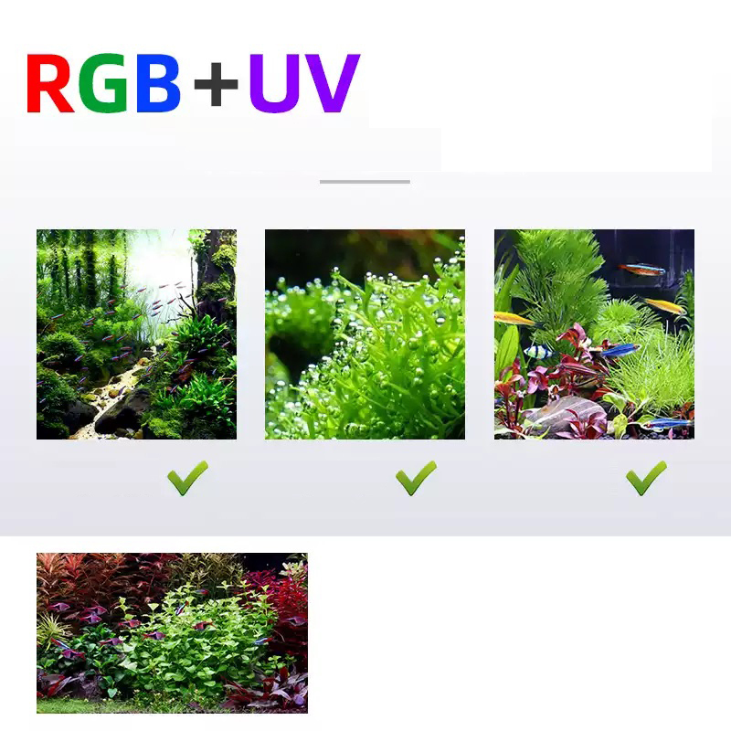 ไฟ LED 60 ซม. 80 ซม. 90 ซม. RG - Marine Aquarium For Sale บทวิจารณ์และราคา