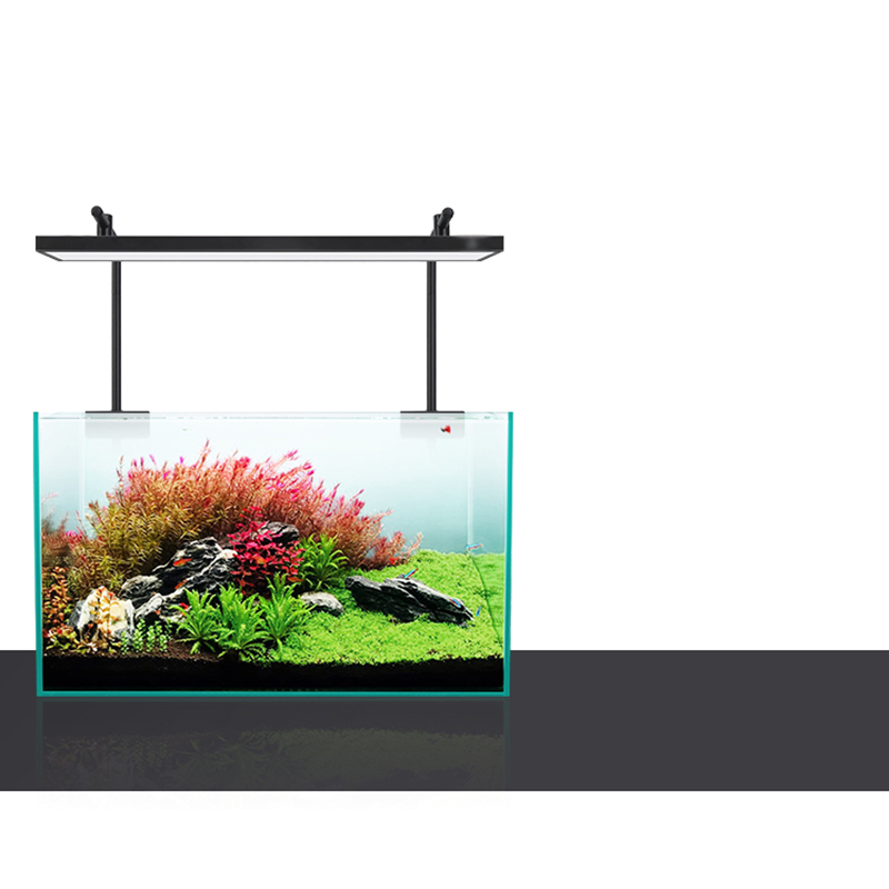 ไฟ LED 60 ซม. 80 ซม. 90 ซม. RG - Marine Aquarium For Sale บทวิจารณ์และราคา