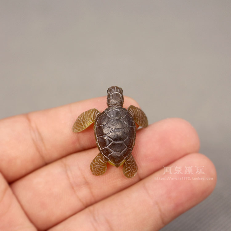 Marine Life Sea Turtle ชุดเครื - Marine Aquarium Orp บทวิจารณ์และราคา