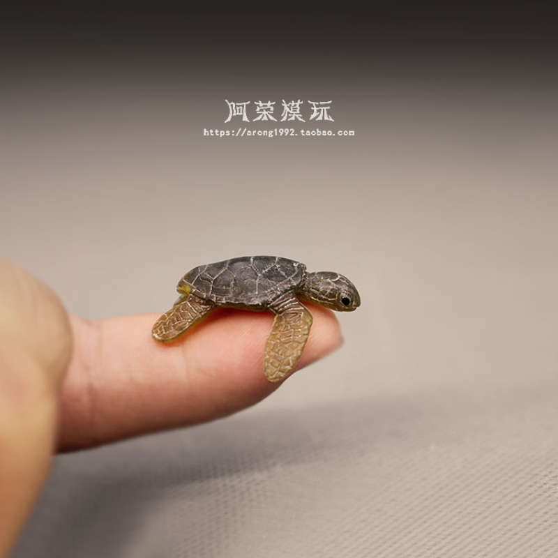 Marine Life Sea Turtle ชุดเครื - Marine Aquarium Orp บทวิจารณ์และราคา