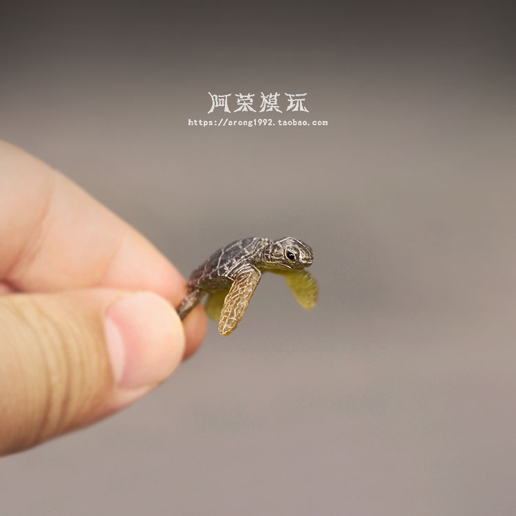 Marine Life Sea Turtle ชุดเครื - Marine Aquarium Orp บทวิจารณ์และราคา