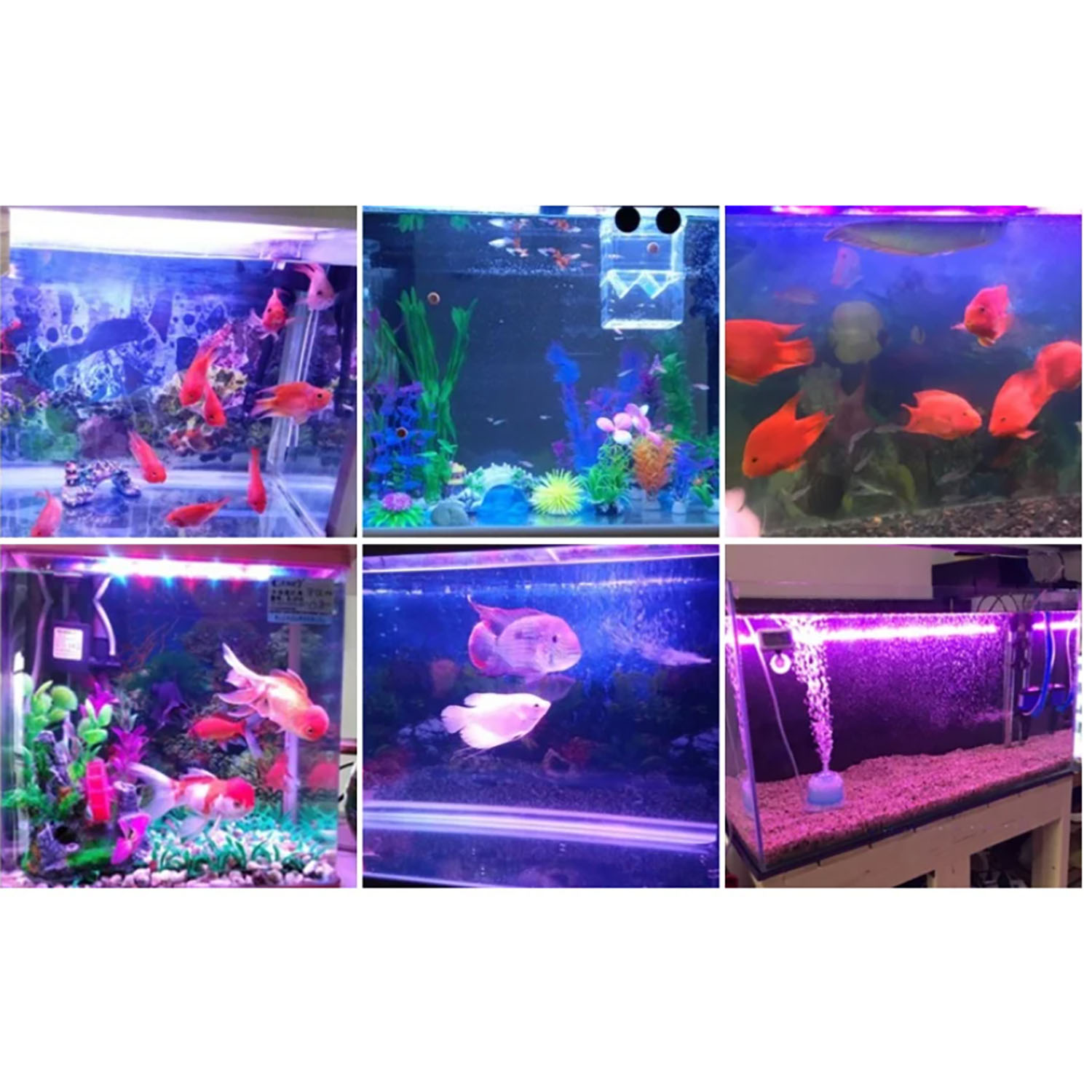 ไฟ LED สำหรับตู้ปลาทะเล กำลังส - Marine Aquarium Uv Light บทวิจารณ์และราคา
