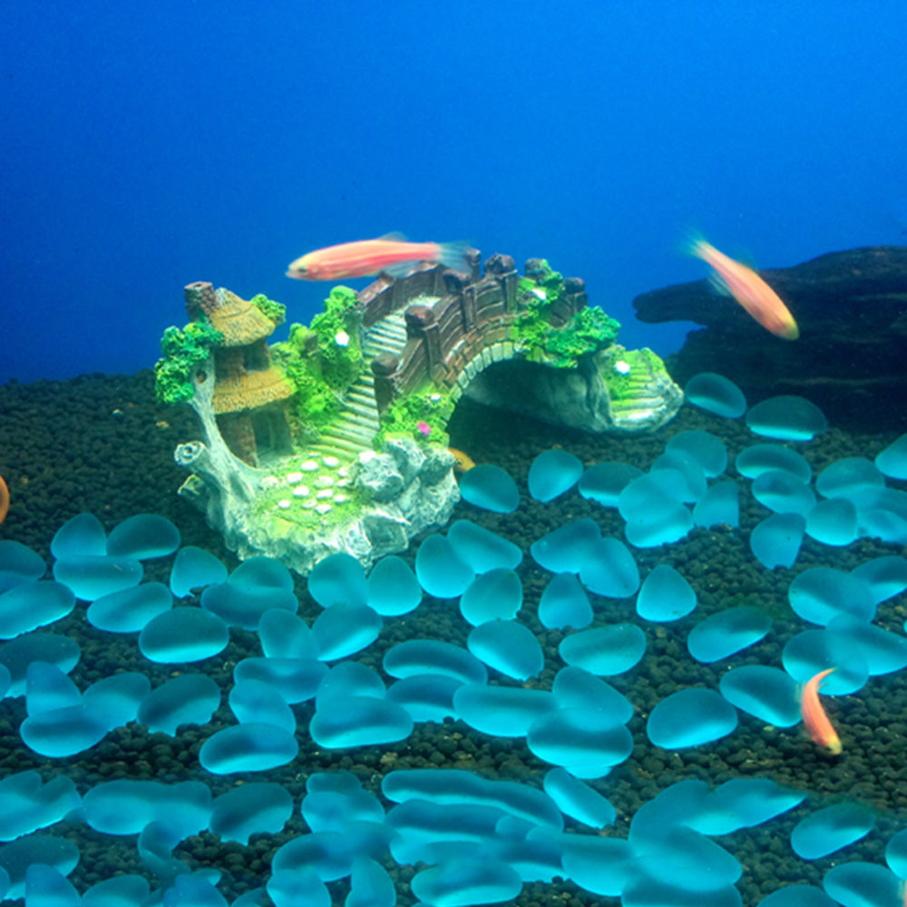 อุปกรณ์ตู้ปลา Arbor ต้นไม้ปลอม - Marine Aquarium For Sale บทวิจารณ์และราคา