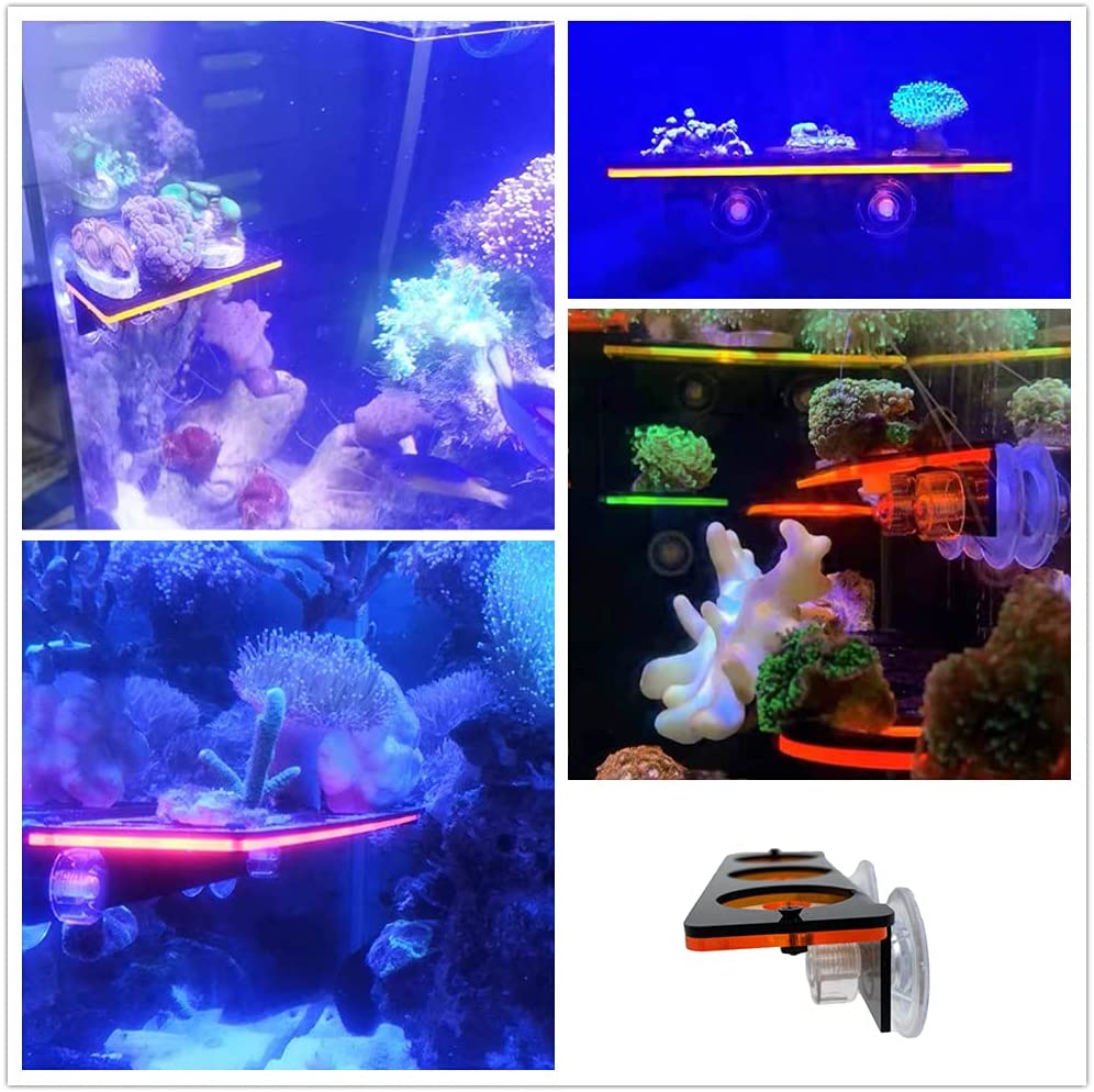 เรืองแสง Coral Frag ปลั๊กยึดปล - Marine Aquarium Orp บทวิจารณ์และราคา