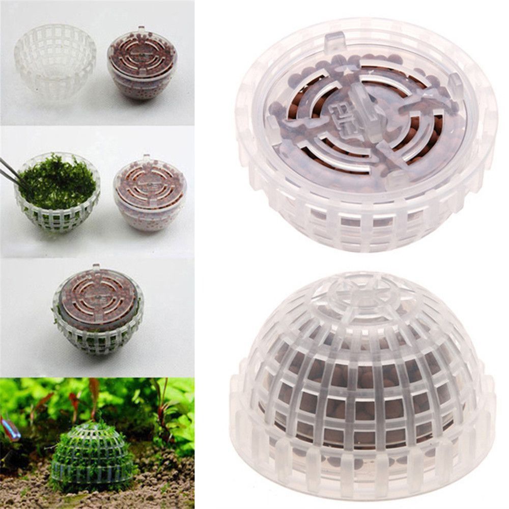 โดมมอสพลาสติกแบบแขวนรูปครึ่งวง - Marine Aquarium For Sale บทวิจารณ์และราคา