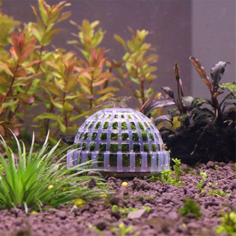 โดมมอสพลาสติกแบบแขวนรูปครึ่งวง - Marine Aquarium For Sale บทวิจารณ์และราคา