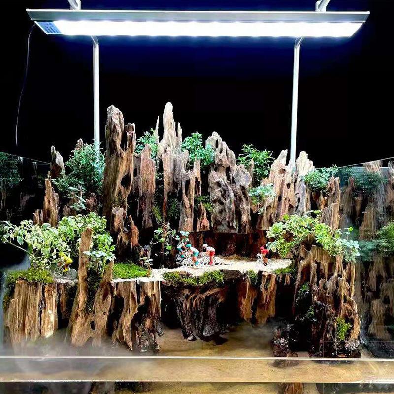 △   ไม้ตกแต่งตู้ปลา ไม้ลอยน้ำ  - Marine Aquarium For Sale บทวิจารณ์และราคา