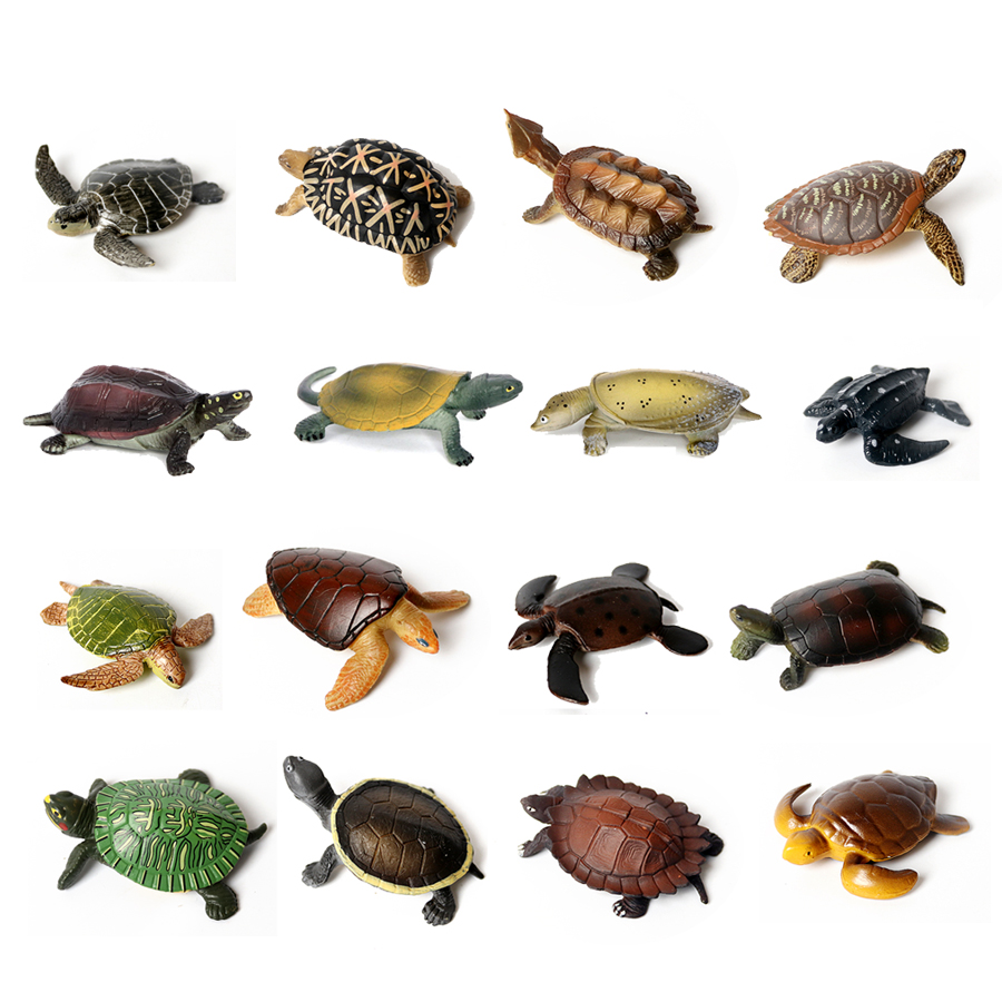 โมเดลเต่าทะเลขนาดเล็กเหมือนจริ - Aquarium Marine Fish บทวิจารณ์และราคา